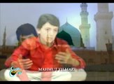 Mahmut Yılmaz - Seyrettim Muhammedi (Official Audıo)