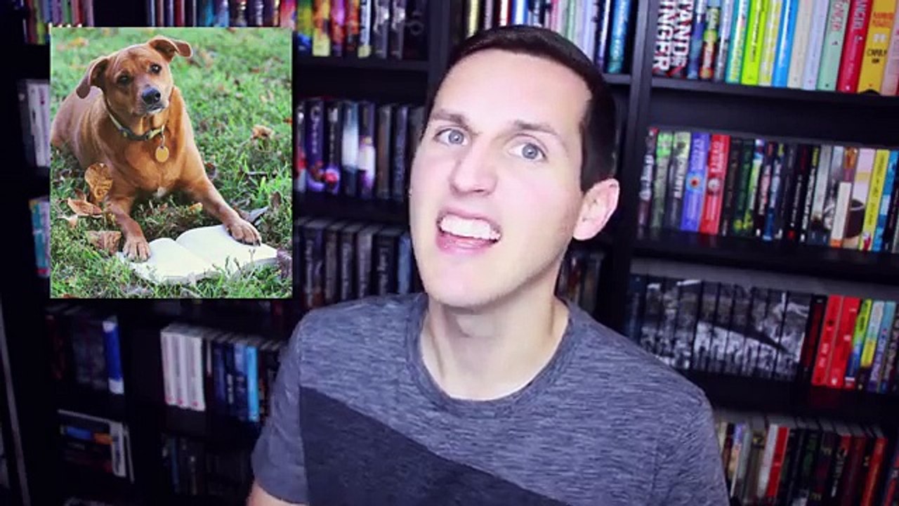 CANT HELP FALLIN IN LOVE | Q&A