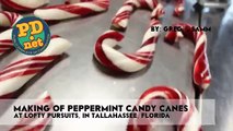 Making hand made candy canes and a little history about Candy Canes