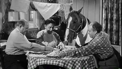 The Three Stooges 180 Horsing Around 1957 Joe Besser, Larry, Moe