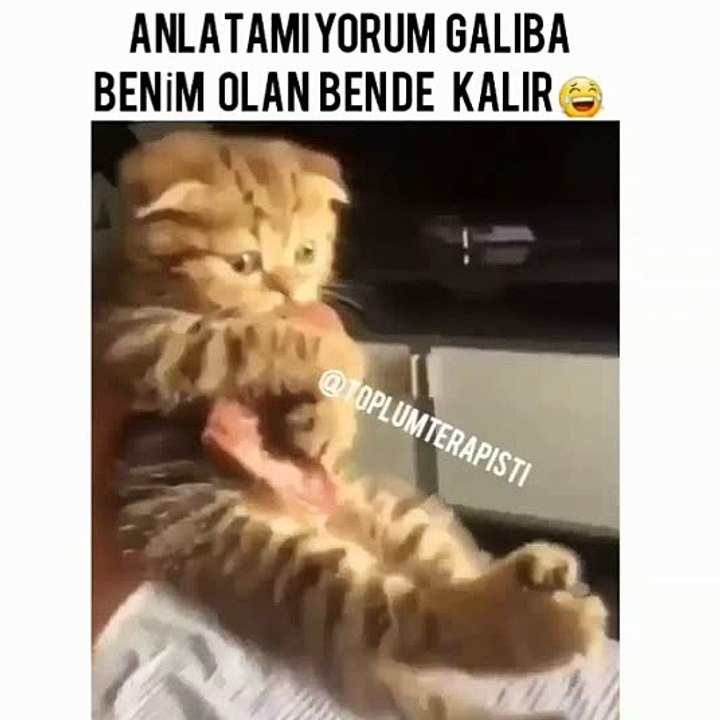 BENDE OLAN BENDE KALIR