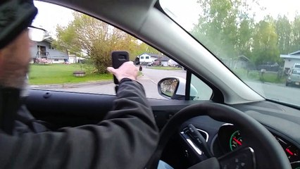 Grizzly Bear in Neighborhood