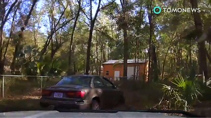 Badass K9s take down ruthless criminals