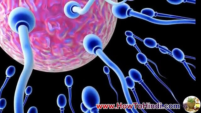 Not Getting Pregnant Reasons Pregnancy Tips In Hindi Ovulation Calculator Tips To Get Pregnant