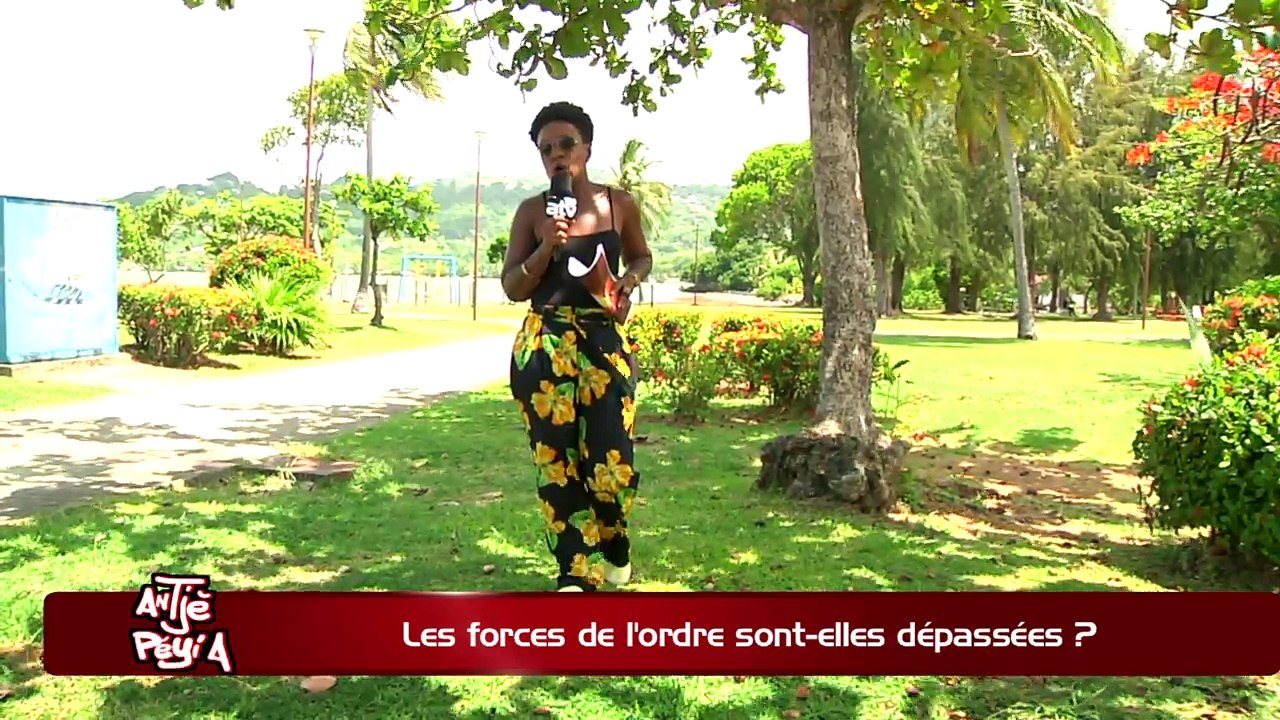 ATPA 04 06 18 FORCES DE L ORDRE DEAPSSEES LOUISY BERTE OK