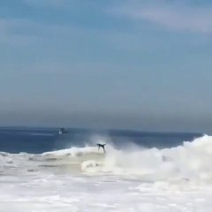 Un surfeur se fait souffler par une vague énorme... comme un pantin