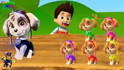 Paw Patrol Eggs for kids Learn Colors with Finge Family Song