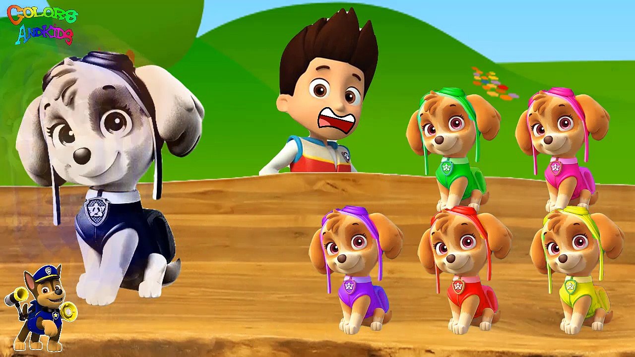 Paw Patrol Eggs for kids Learn Colors with Finge Family Song