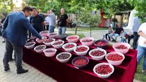 54. Uluslararası Tekirdağ Kiraz Festivali - TEKİRDAĞ