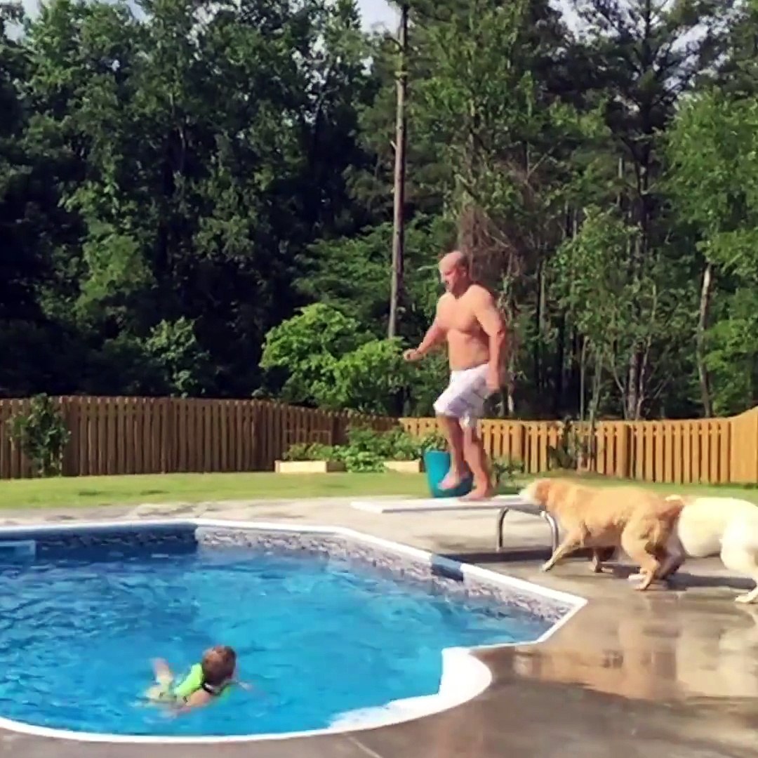 Pet Animals Funny