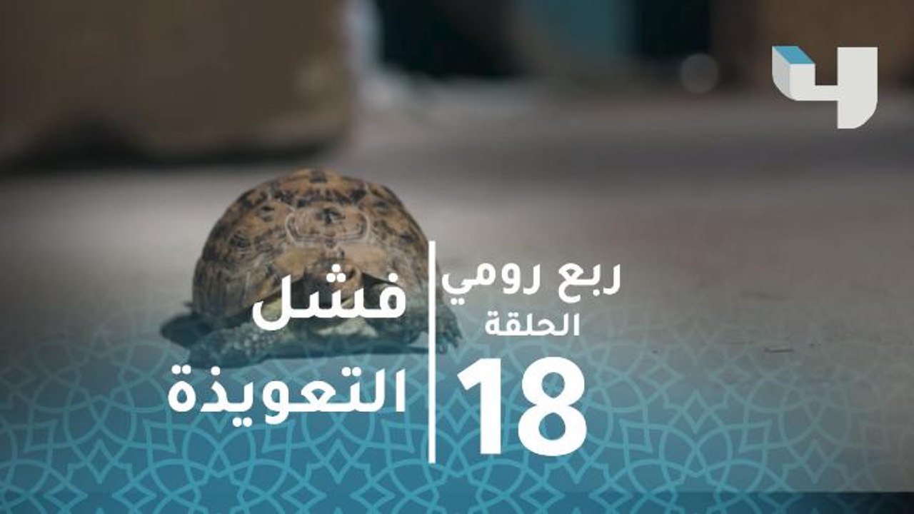 بيومي فؤاد يتحول من فأر لسلحفاة في ربع رومي بعد...