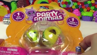 Taco Party Animals Yellow Green Bear Opening Toy Review FUN