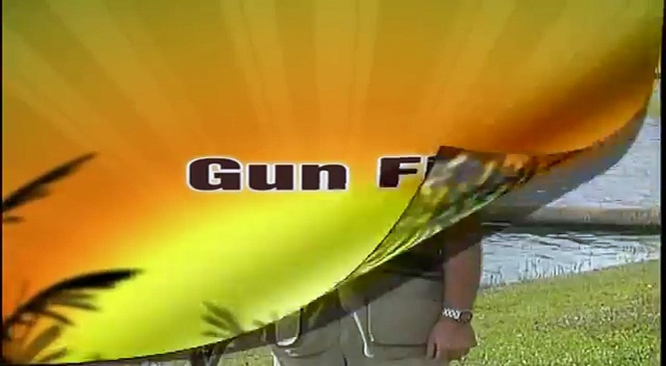 Gun Fitting