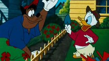 Donald Duck - The New Neighbor  (1953)