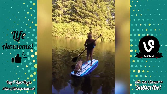 TRY NOT TO LAUGH - Funny Animals FAILS Compilation 2017 | Funny Animals vs Kids Fails Videos 2017