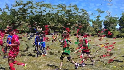 Collège Paul Langevin à Romilly/Seine (Lauréat Académique)