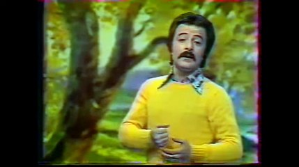 Shahrokh - Soofi شاهرخ ـ صوفی