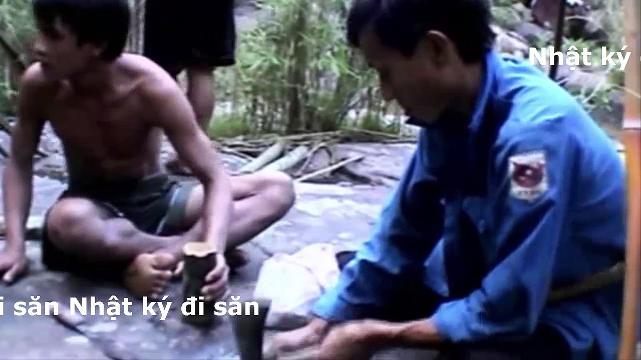 Vào suối trong rừng sâu bắt được mấy chục ký cá vừa nướng vừa nấu canh ăn mệt nghỉ