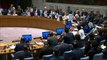 EEUU veta resolución en la ONU sobre protección de palestinos