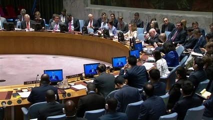 EEUU veta resolución en la ONU sobre protección de palestinos