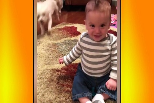 Dogs making babies laugh is the cutest thing you will see today