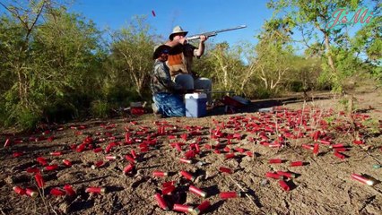 Chim sẽ được chất thành đống sau mỗi cuộc đi săn -  Bồ câu bi ai trước họng súng của thợ săn