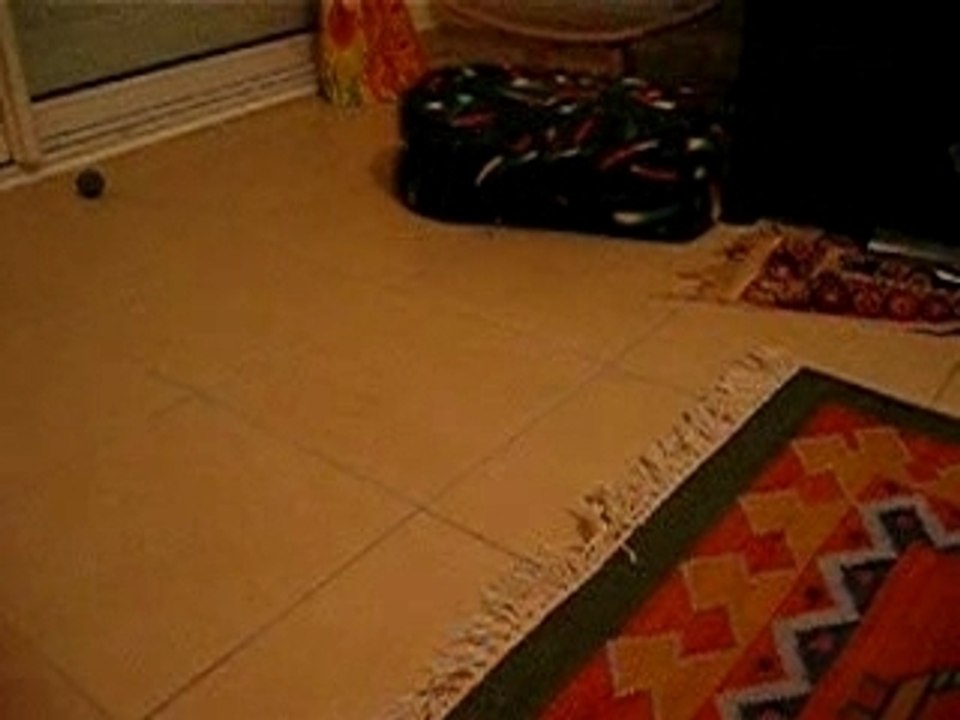 Cédille (qui n'est pas toute seule...)