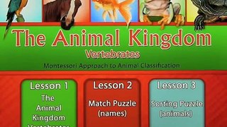 The Animal Kingdom: Vertebrates