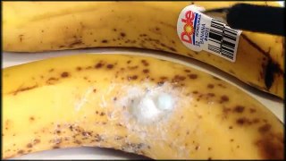 Deadly spiders in your bananas!!!