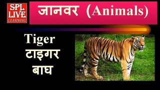 English Vocabulary Animals Name with Pictures and Hindi meaning with Pronunciation
