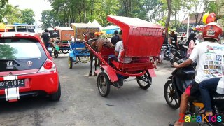 Lagu Anak Indonesia Naik Delman Istimewa - Lagu Anak Terpopuler