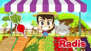Vegetables in French for Kids – Learn Vegetables Names in French with Zakaria