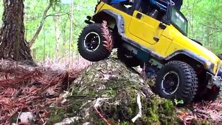 Scale 4x4 rc - off road trials May new