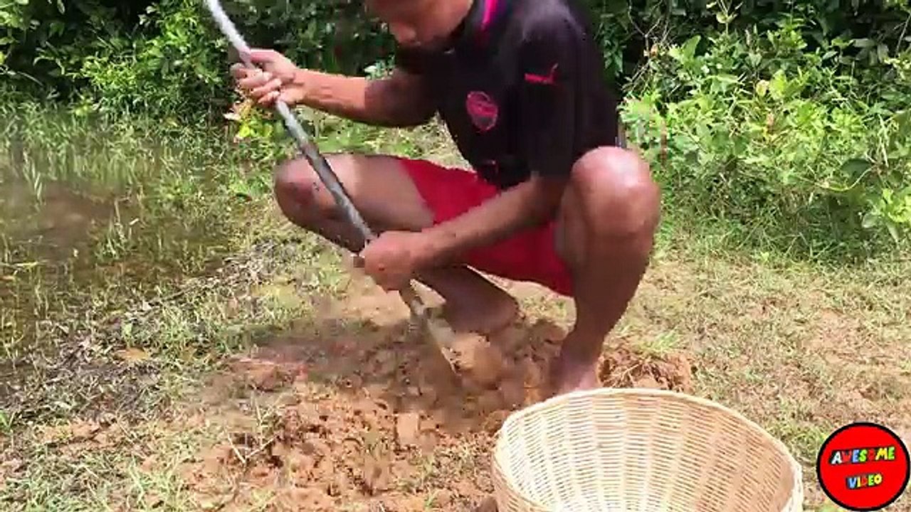 The Amazing Top 5 Video Fishing & Crab Trap 2017 From KJ Channel To Catch a lot of Crabs A