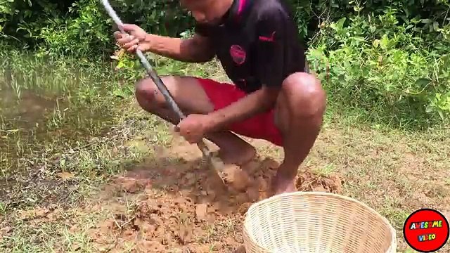 The Amazing Top 5 Video Fishing & Crab Trap 2017 From KJ Channel To Catch a lot of Crabs A