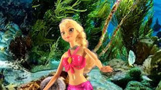 Elsa is Captured by an Evil Fisherman - Part 4- Elsa the Mermaid Series -Frozen Little Mermaid