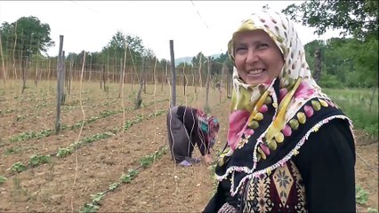 'Pazaryeri boncuğu' ilçeye milyonlarca lira kazandırıyor - BİLECİK