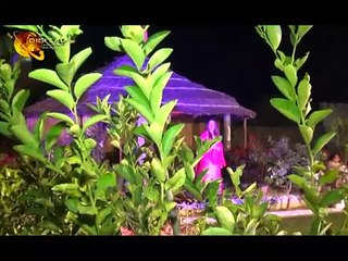 Deer Me Yadege | Pashto Singer Nadia Gul | HD Song