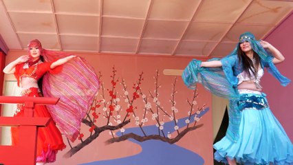 4K60P 奉納演芸2 ベリーダンス BELLY DANCE