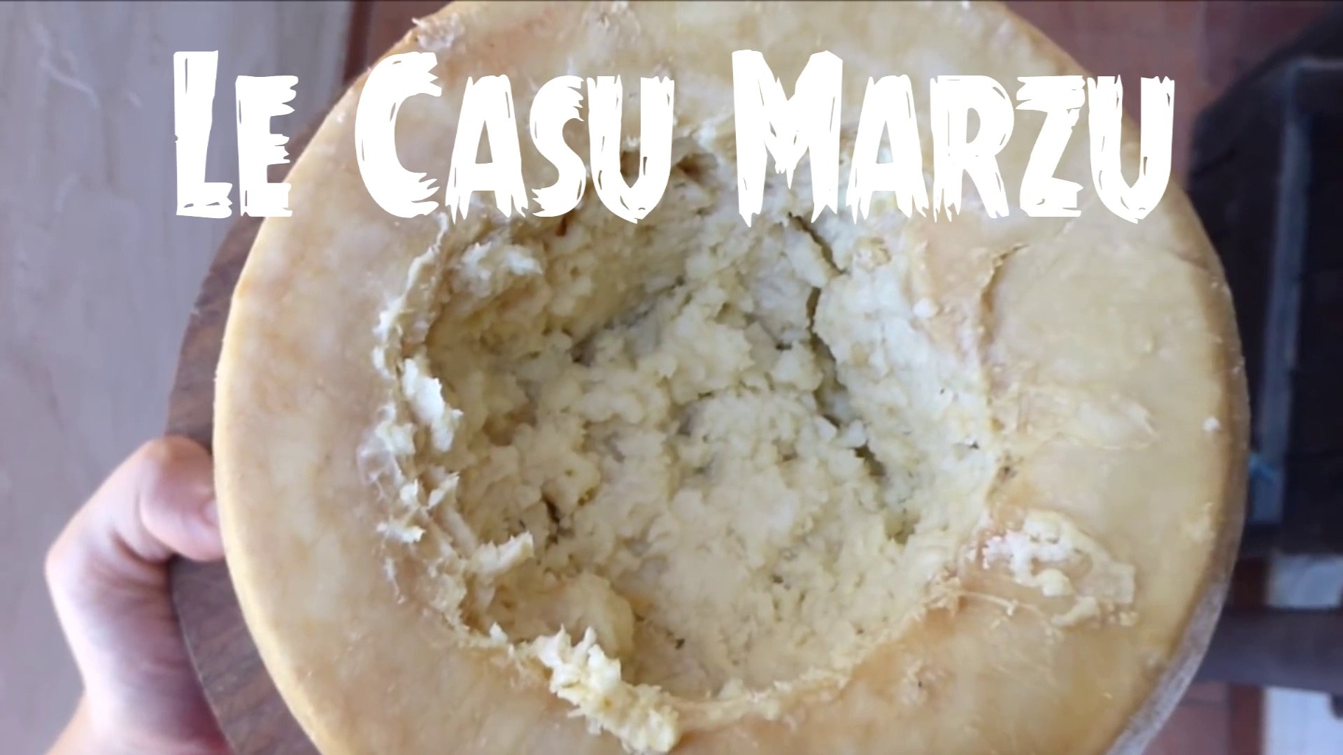 Le Casu Marzu Le Fromage Aux Asticots A Votre Table 4 Video Dailymotion