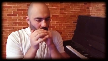 Mr. Lee's Mambo - Rick Estrin Remix - Harmonica Blues