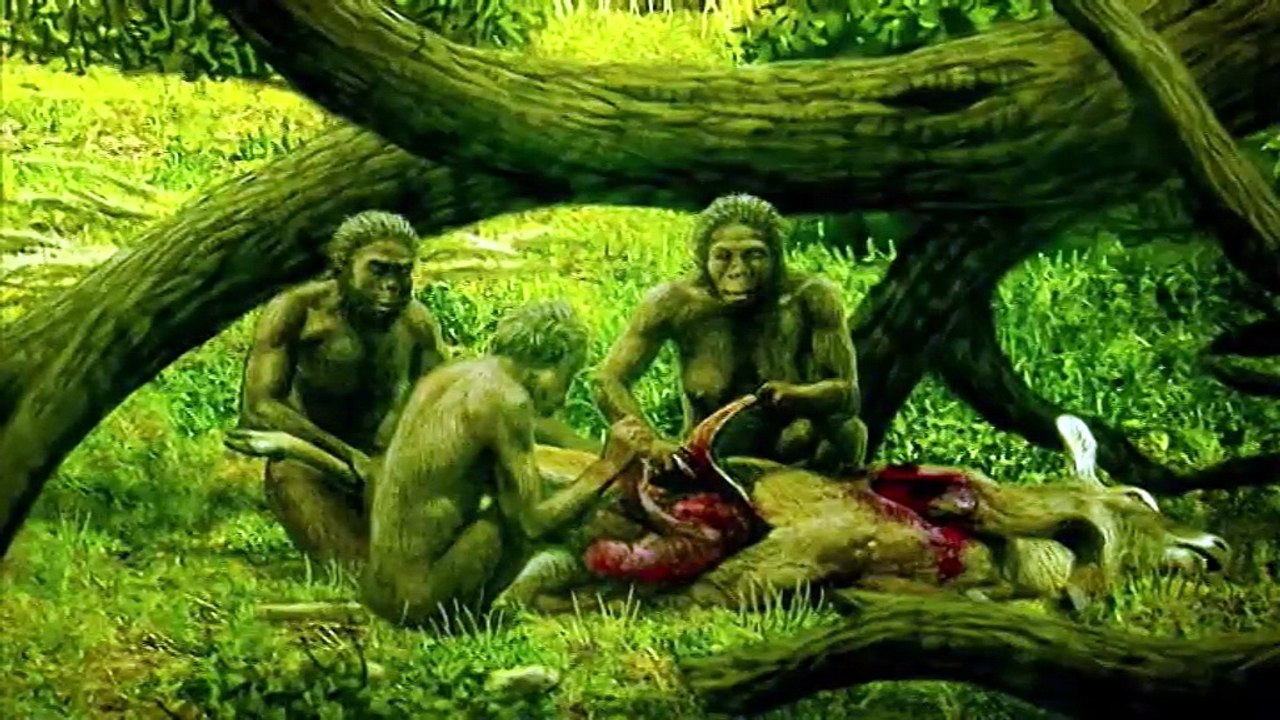 Prehistoria. Tras las huellas de los primeros humanos
