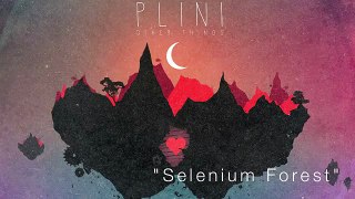 Plini - SELENIUM FOREST
