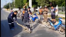 A 6ft long monitor lizard was found basking on a road after a meal in Bangkok, Thailand. Animal handlers from Sawang Benjatham Foundation took 20 minutes to las