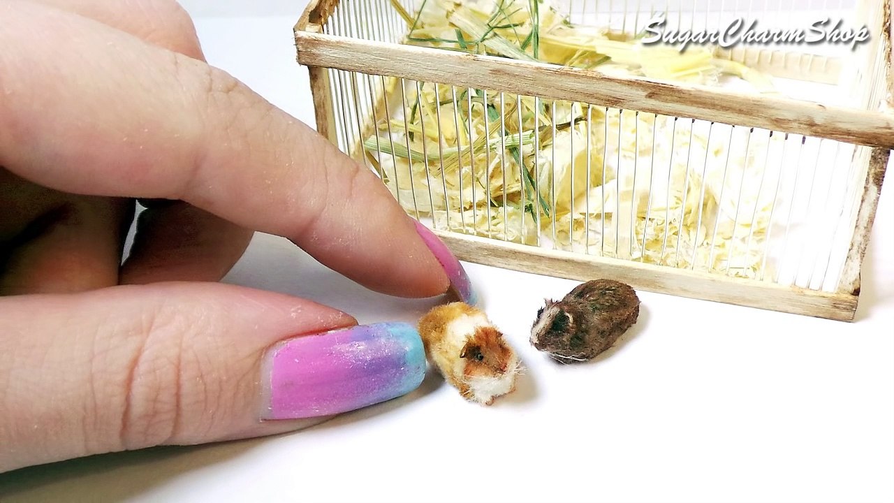 Miniature Guinea Pig Tutorial + Playpen // Dolls/Dollhouse