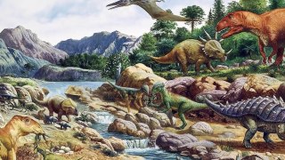 12 доисторических животных, живущих рядом с нами