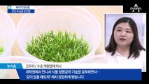 [바다의 청년들]‘국산 수초’ 도전장 낸 식물학도들