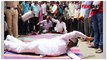 ರಜನಿ ವಿರುದ್ಧ ಕನ್ನಡಿಗರ ಪ್ರತಿಭಟನೆ ವಿರೋಧಿಸ್ತಿರೋ ತಮಿಳು ನಟ ..! | Filmibeat Kannada