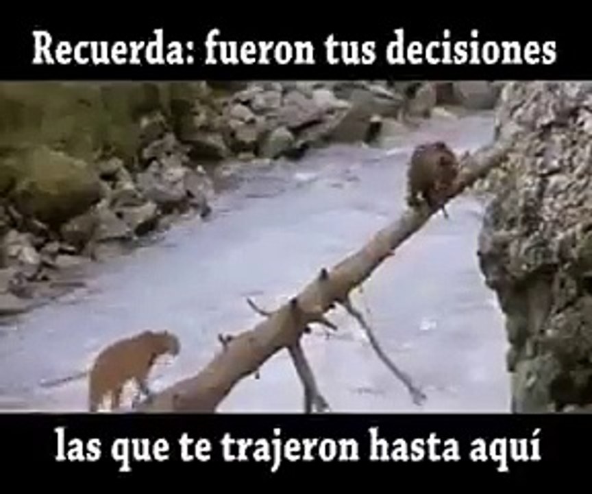 DIOS NUNCA TE DEJA SOLO ‼‼...Sed sobrios, y velad; porque vuestro adversario el diablo, como león rugiente, anda alrededor buscando a quien devorar