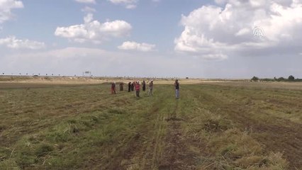 Ramazanda Zorlu Hasat Mesaisi